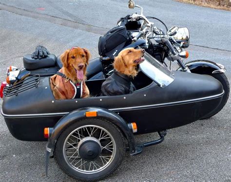 Are Motorcycle Sidecars Making A Comeback In 2020 Scenic