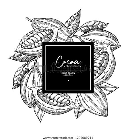Cocoa Frame Vector Superfood Drawing Template Stock Vector Royalty