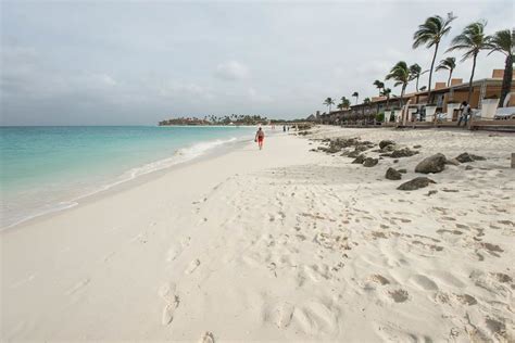 Tamarijn Aruba All Inclusive Detailed Review Photos And Rates 2019