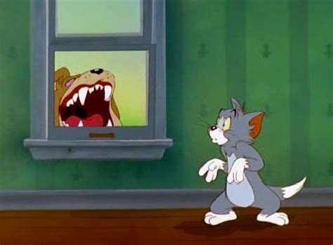 The story begins with tom sitting depressed on a rail track. Tom and Jerry: The Movie (1992) in 2020 | Tom and jerry ...