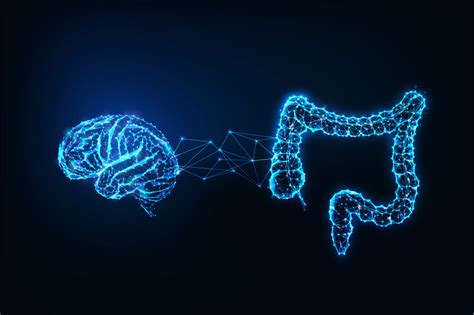 Diving Deeper into the Gut-Brain Connection: Unveiling the Link to