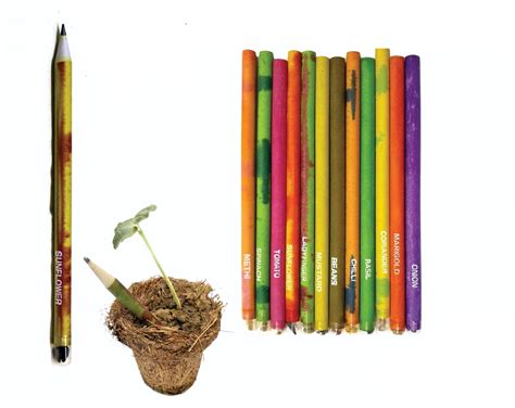 Plantable Seed Pencils Set Of 12 Arham Smart