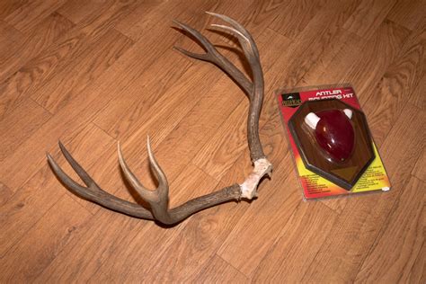 Get those sheds up off the floor! DIY Taxidermy: Classic antler plaque | goHUNT
