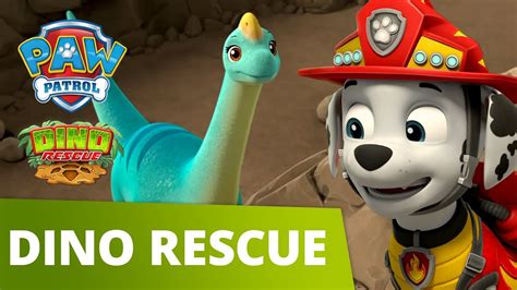 Toys And Hobbies Zuma And Brontosaurus Paw Patrol Dino Rescue Tv And Movie