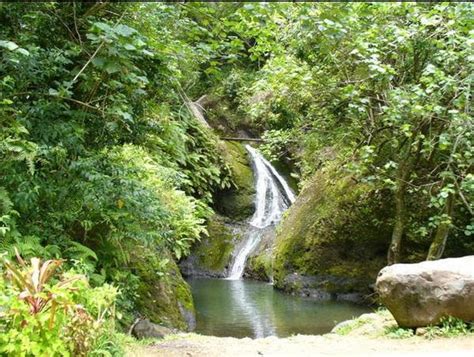 23 flora dan fauna yang dilindungi di indonesia 02 11 2019 tanpa adanya keseimbangan dengan terjaganya flora dan fauna yang ada akan dapat membuat alam menjadi rusak ironisnya saat ini terdapat beberapa flora. Papua, Wisata Flora dan Fauna yang Masih Alami - ILMU ...