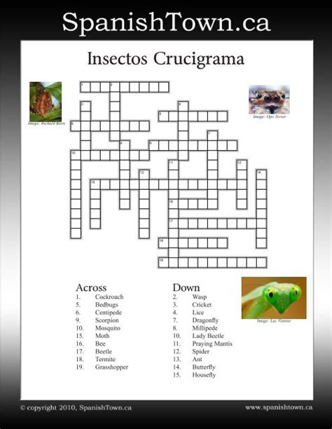 You can play the crossword from this page or print it. Very Easy Spanish Crossword Puzzles - Easy Spanish Crossword Puzzles Language Spanish Compare ...