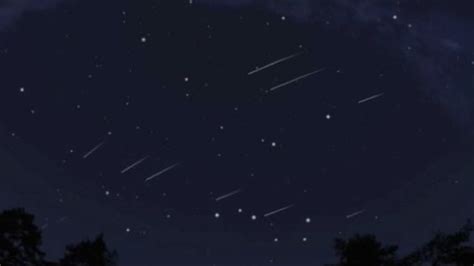 Check spelling or type a new query. Perseidas 2020: horario y dónde ver la lluvia de estrellas ...