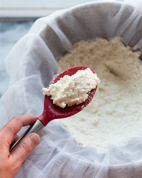 How To Make Homemade Ricotta Cheese Kitchn