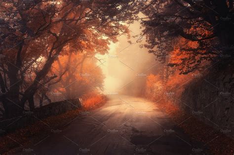 Road Through Autumn Foggy Forest ~ Nature Photos ~ Creative Market