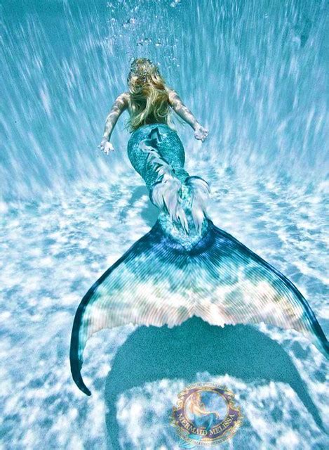 Mermaid Tails Mermaid Melissa Flickr Photo Sharing