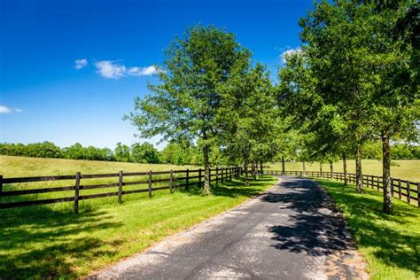 Country Road Stock Image Image Of Sunny Pavement Agriculture 31949369
