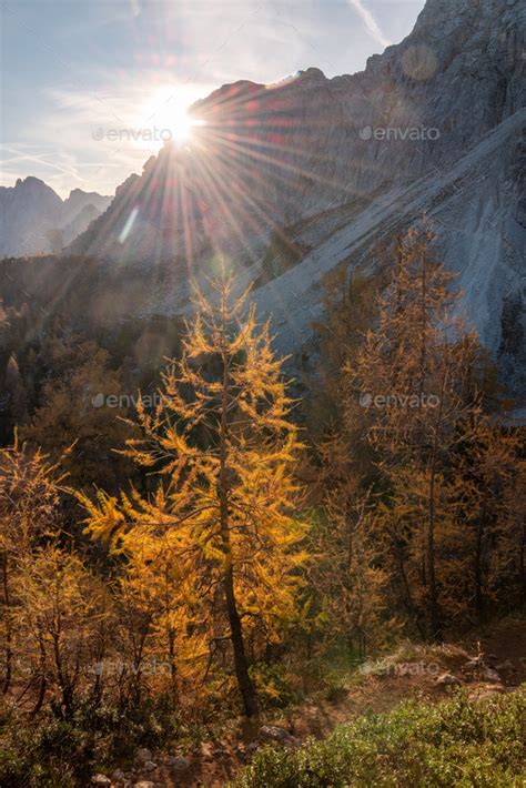 Autumn At Slemenova Spica Plateau In The Julian Alps Mountains Stock