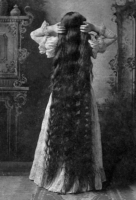 The Spectacle Of 19th Century Womens Hairstyles Dusty Old Thing