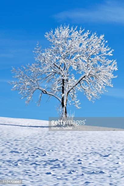 Zugerberg Mountain Photos And Premium High Res Pictures Getty Images