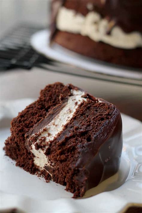 Among the best cake recipes, you can always find mississippi mud cake. 50 Layer Cake Filling Ideas: How to Make Layer Cake (Recipes)