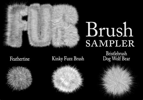 Fur Brushes Samples Free Photoshop Brushes At Brusheezy