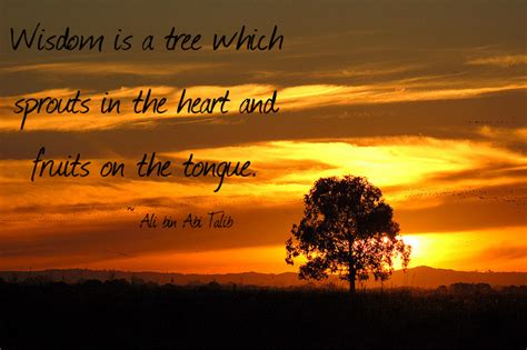 Maulana wahiduddin khan i quranic wisdom. Quotes of Imam Ali bin Abi Talib | Selected sayings of Imam Ali (a.s.) translated into English ...