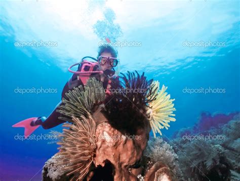 Female Scuba Diver and Fauna Stock Photo by ©dsabo 5940566