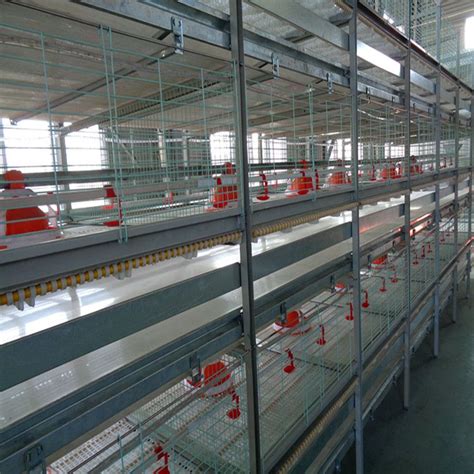 Usd 80 270 Email：info Chicken Cage Chicken Layer Cage Poultry Chicken Cage