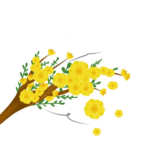 아름다운 일러스트 노란 살구 꽃 노랑 살구 꽃 Png 일러스트 및 Psd 이미지 무료 다운로드 Pngtree