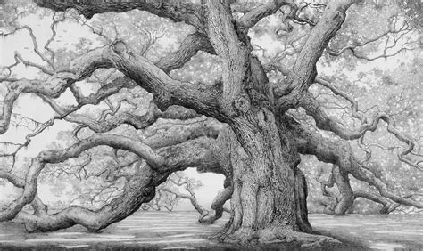 Works of Charles Brindley | Oak tree tattoo, Angel oak, Oak tree drawings
