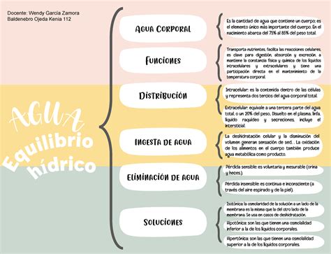 Cuadro Sin Ptico Sobre Equilibrio H Drico Agua Corporal Distribuci N Funciones Ingesta De Agua