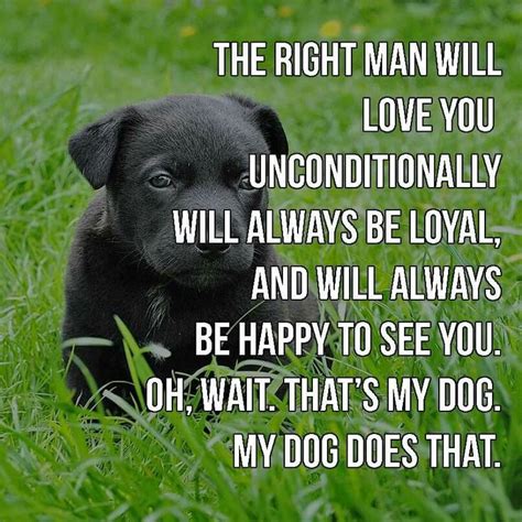 Boyfriend Dog Love You Unconditionally The Right Man Dogs