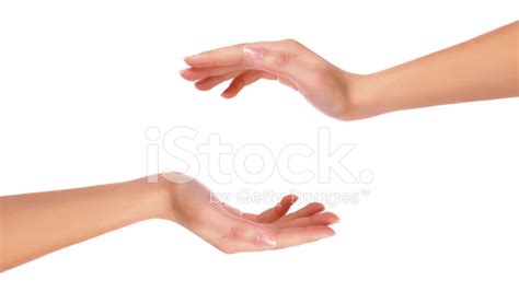 Between Two Hands Stock Photo Royalty Free Freeimages