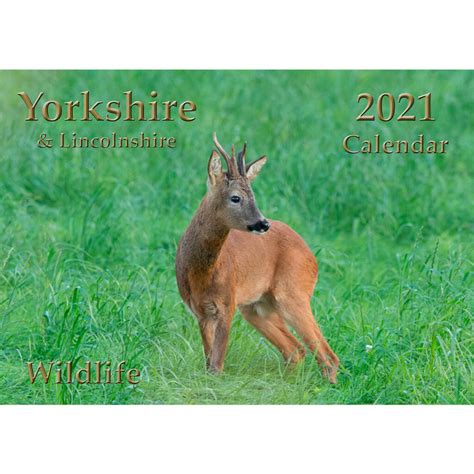 Yorkshire Wildlife Calendar 2021 Yorkshire Wildlife
