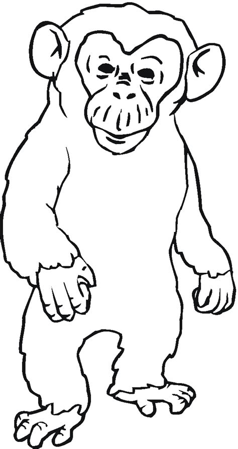 Angry Chimpanzee Coloring Online Super Coloring Coloring Home