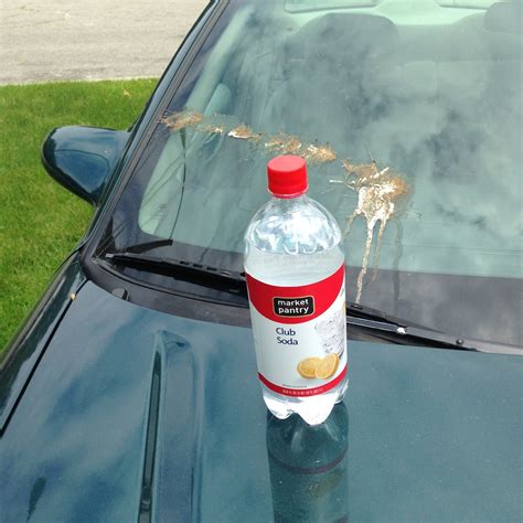 Awasome How To Get Bird Droppings Off Car Paint References