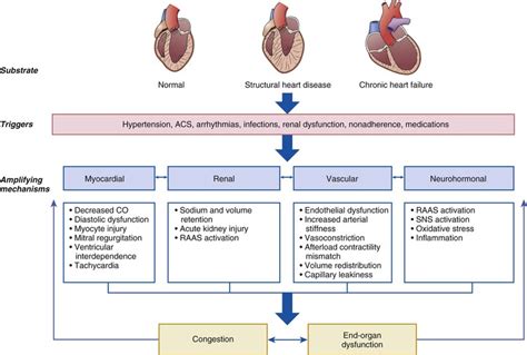 Diagnosis And Management Of Acute Heart Failure Thoracic Key