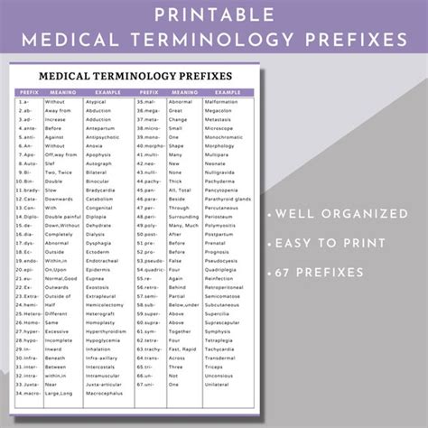 Medical Terminology Flashcardsmedical Terminology Prefixes And Worksheets Library