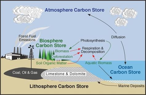 Green Fork Utah The Carbon Cycle