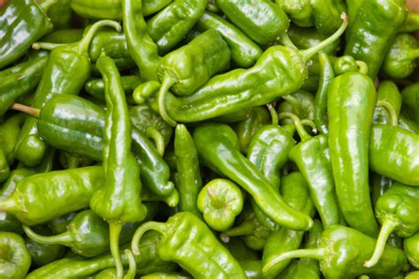 A Closeup Of Many Green Hot Chili Peppers Stock Photo Download Image