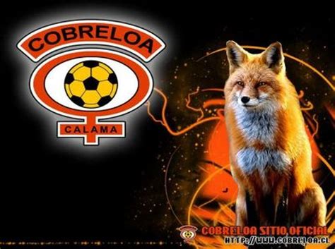 Cobreloa is a relatively new club, having been founded on 7 january 1977. FOTOS Cobreloa hoy cumplió 40 años de vida | soychile.cl