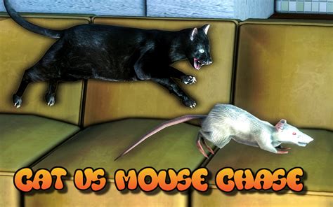 Rat Simulator 2016 Cat Vs Mouse And Rat Trap Challenge