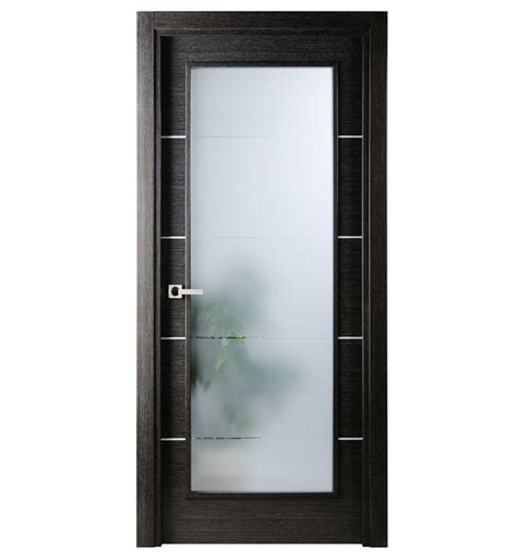 Black Steel Glass Interior Doors Glass Door Ideas
