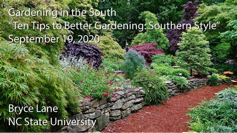 Gardening In The South Ten Tips To Better Gardening Southern Style