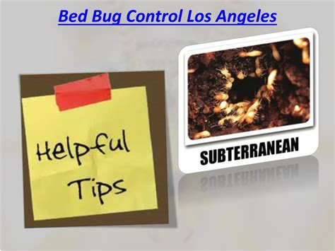 Ppt Bed Bugs Los Angeles Exterminator Powerpoint Presentation Free