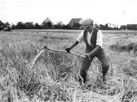 A Farmer Harvesting Grain With A Scythe 1930 Old Photos Old