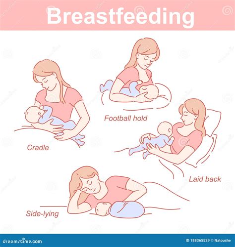Breastfeeding Positions Stock Illustrations 142 Breastfeeding Positions Stock Illustrations