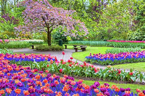 Spring morning wallpapers, spring wallpapers for my phone, spring season mobile wallpapers magazine, screensaver spring pictures, springtime wallpaper desktop free, winter wallpaper. صور فصل الربيع , صور افضل شهور السنه صباح الورد