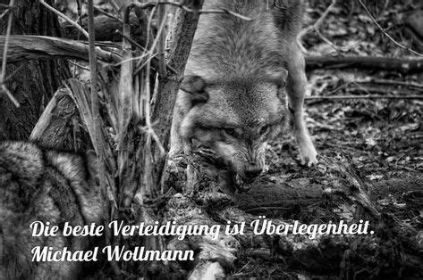 Join facebook to connect with einsamer wolf and others you may know. 31 Wölfe-Ideen | wölfe in deutschland, wolf, zitate nachdenken