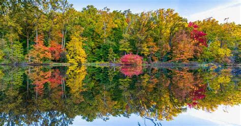 Check spelling or type a new query. Visiting Watchung Reservation