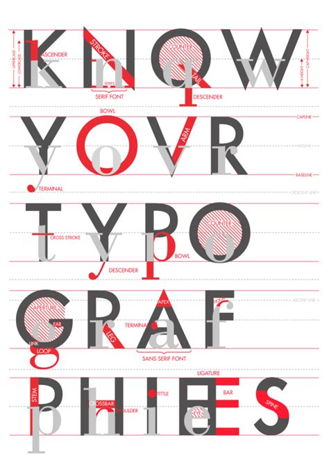 Download Typography Anatomy Of A Letter 