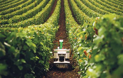 Agriculture Du Futur Place à La Technologie Pour Améliorer Le Rendement