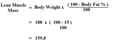 How To Calculate Lean Muscle Mass