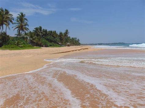 Hikkaduwa Beach Everything You Need To Know About It Imp World
