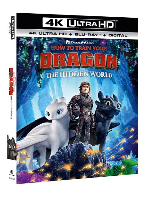 Many times the hidden words are centered around a topic of interest. How To Train Your Dragon: The Hidden World Printable ...